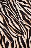 Écharpe douce imprimé zèbre