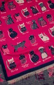 Écharpe chaude fond rose avec chats  