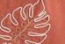 CORAIL