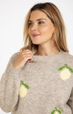 Pull avec citrons