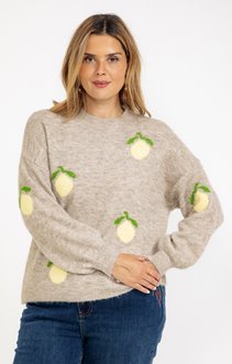 Pull avec citrons