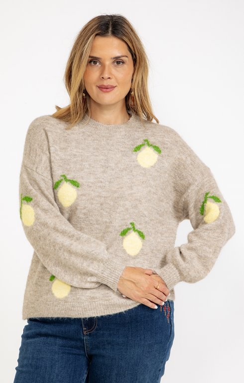 Pull avec citrons