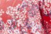 CORAIL
